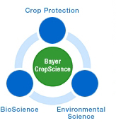 bayer.jpg
